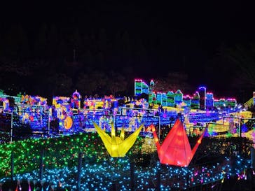 伊豆ぐらんぱる公園に投稿された画像（2021/12/12）