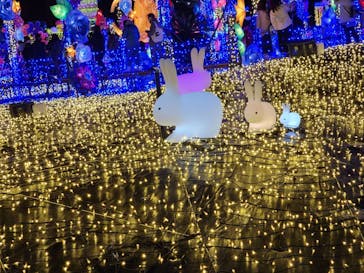 伊豆ぐらんぱる公園に投稿された画像（2021/12/12）