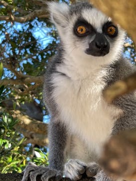 伊豆シャボテン動物公園に投稿された画像（2021/12/12）