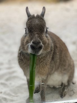 伊豆シャボテン動物公園に投稿された画像（2021/12/12）