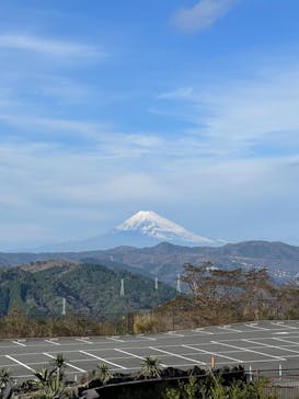 伊豆シャボテン動物公園に投稿された画像（2021/12/12）