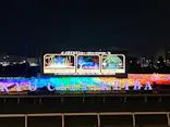 東京メガイルミに投稿された画像（2021/12/12）
