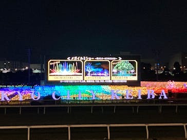 東京メガイルミに投稿された画像（2021/12/12）
