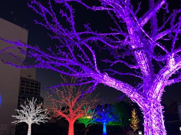 東京メガイルミに投稿された画像（2021/12/12）