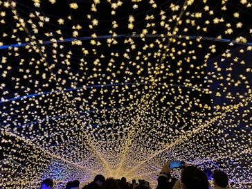 東京メガイルミに投稿された画像（2021/12/12）