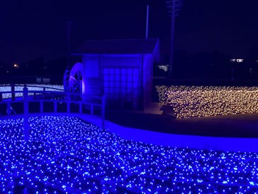 東京メガイルミに投稿された画像（2021/12/12）