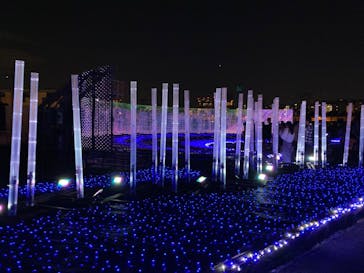 東京メガイルミに投稿された画像（2021/12/12）