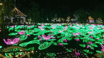 美らヤシパークオキナワ・東南植物楽園に投稿された画像（2021/12/12）
