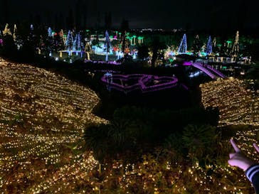 美らヤシパークオキナワ・東南植物楽園に投稿された画像（2021/12/12）