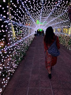 美らヤシパークオキナワ・東南植物楽園に投稿された画像（2021/12/12）