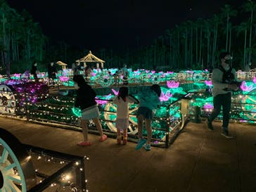 美らヤシパークオキナワ・東南植物楽園に投稿された画像（2021/12/12）