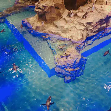 すみだ水族館に投稿された画像（2021/12/12）