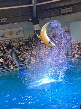 マクセル アクアパーク品川に投稿された画像（2021/12/12）
