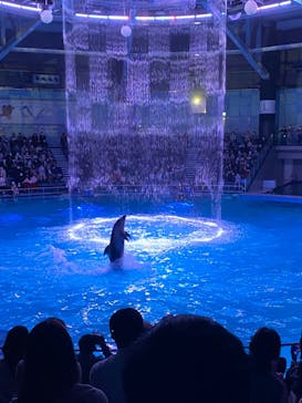 マクセル アクアパーク品川に投稿された画像（2021/12/12）