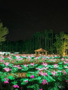 美らヤシパークオキナワ・東南植物楽園に投稿された画像（2021/12/12）