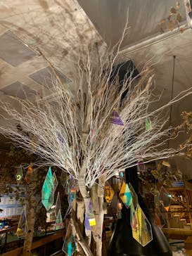 おふろcafé utataneに投稿された画像（2021/12/12）