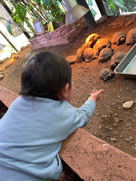 体感型動物園iZooに投稿された画像（2021/12/12）