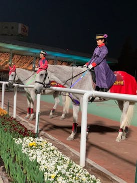 東京メガイルミに投稿された画像（2021/12/12）