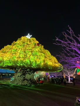 東京メガイルミに投稿された画像（2021/12/12）