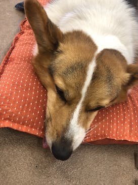 那須どうぶつ王国に投稿された画像（2021/12/12）