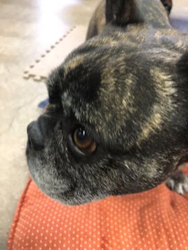 那須どうぶつ王国に投稿された画像（2021/12/12）