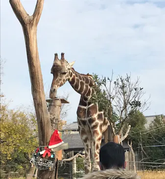 天王寺動物園に投稿された画像（2021/12/13）