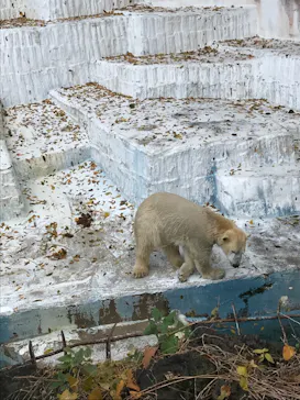 天王寺動物園に投稿された画像（2021/12/13）
