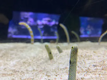 すみだ水族館に投稿された画像（2021/12/13）