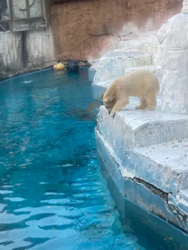 天王寺動物園に投稿された画像（2021/12/13）