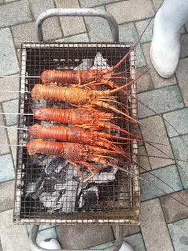 志摩市浜島磯体験施設 海ほおずきに投稿された画像（2021/12/13）