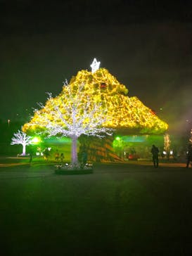 東京メガイルミに投稿された画像（2021/12/13）