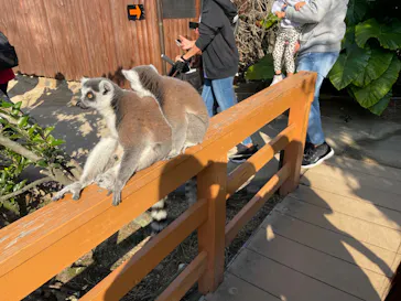 神戸どうぶつ王国に投稿された画像（2021/12/13）