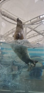 京都水族館に投稿された画像（2021/12/13）