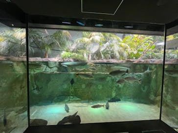 カワスイ 川崎⽔族館に投稿された画像（2021/12/13）