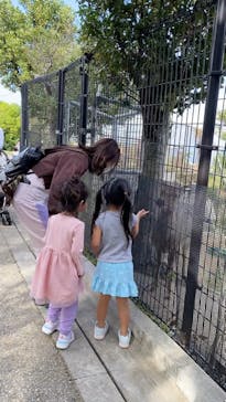 沖縄こどもの国に投稿された画像（2021/12/13）