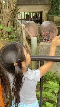 沖縄こどもの国に投稿された画像（2021/12/13）