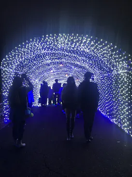 ひらかたパークに投稿された画像（2021/12/13）