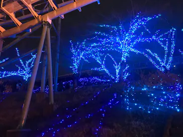 ひらかたパークに投稿された画像（2021/12/13）