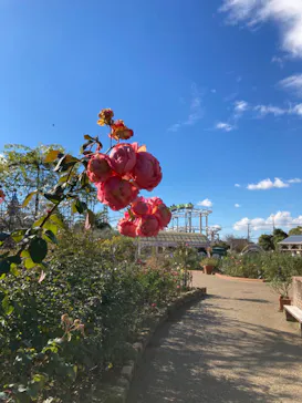 ひらかたパークに投稿された画像（2021/12/13）