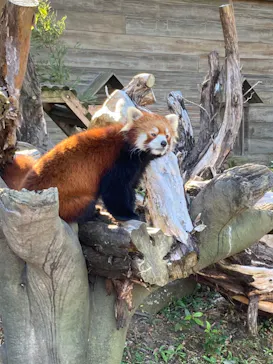 ひらかたパークに投稿された画像（2021/12/13）