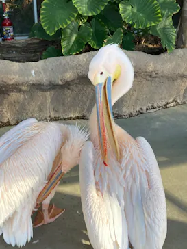 神戸どうぶつ王国に投稿された画像（2021/12/13）