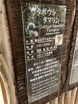 神戸どうぶつ王国に投稿された画像（2021/12/13）