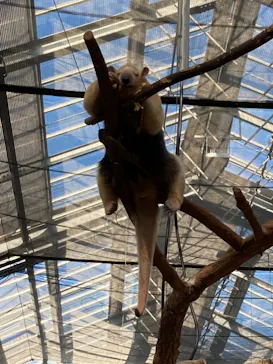 神戸どうぶつ王国に投稿された画像（2021/12/13）