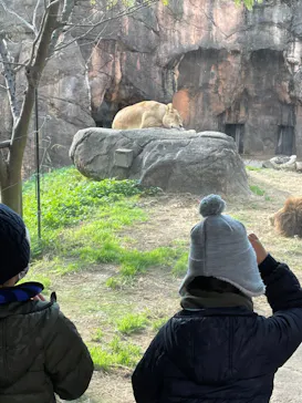 天王寺動物園に投稿された画像（2021/12/13）