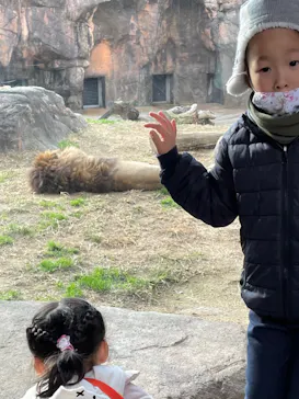 天王寺動物園に投稿された画像（2021/12/13）