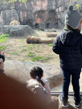 天王寺動物園に投稿された画像（2021/12/13）