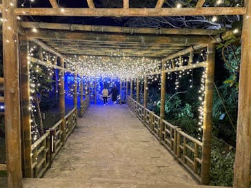 美らヤシパークオキナワ・東南植物楽園に投稿された画像（2021/12/13）