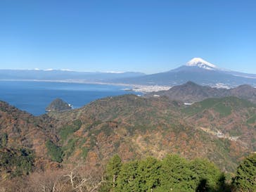 伊豆パノラマパークに投稿された画像（2021/12/13）