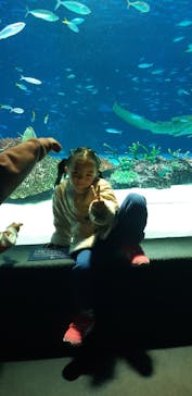 サンシャイン水族館に投稿された画像（2021/12/13）
