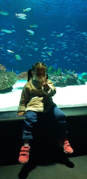 サンシャイン水族館に投稿された画像（2021/12/13）
